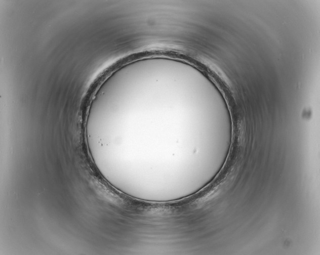 X0000093601021200710291139