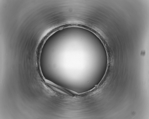 X0000093601022200710291139