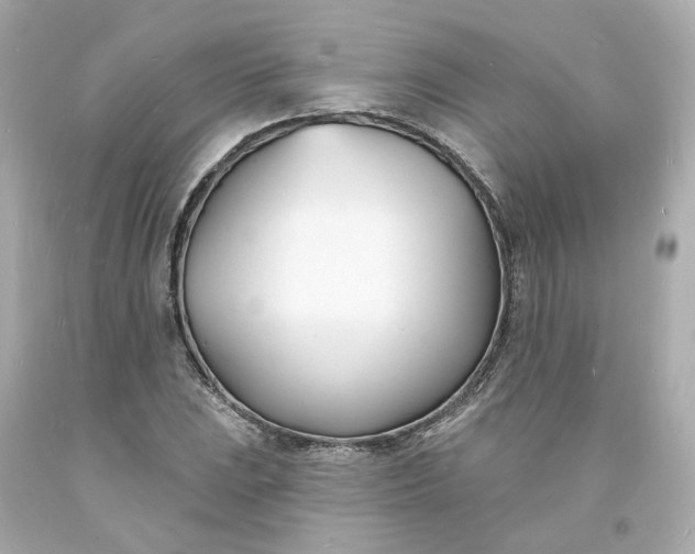 X0000093601023200710291139