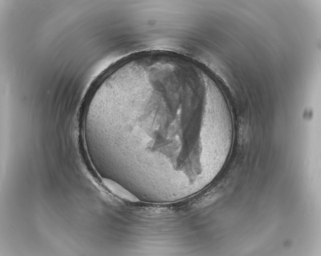 X0000093601024200710291139