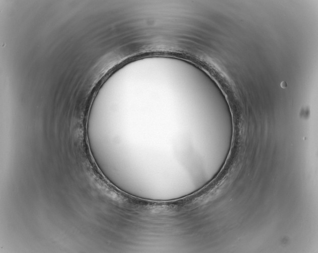 X0000093601025200710291139