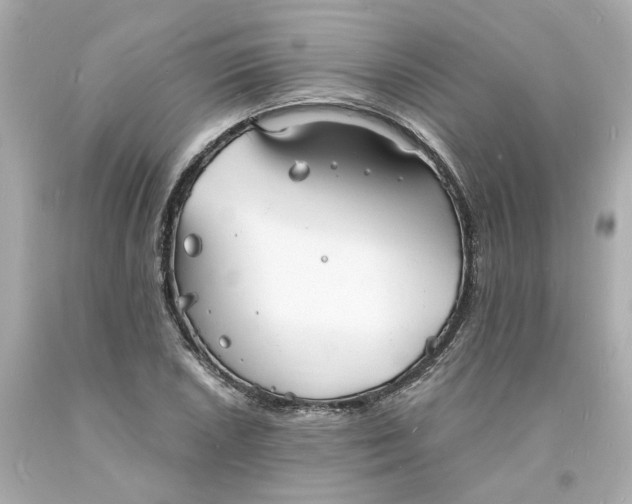 X0000093601026200710291139