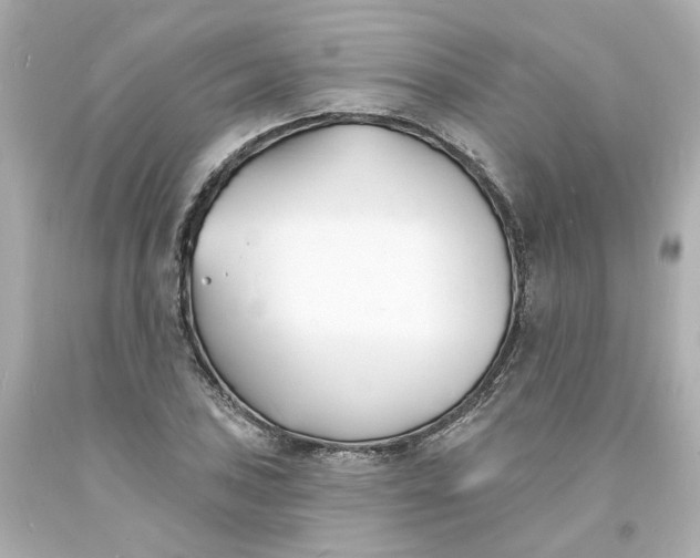 X0000093601027200710291139