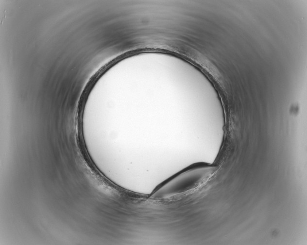 X0000093601028200710291139