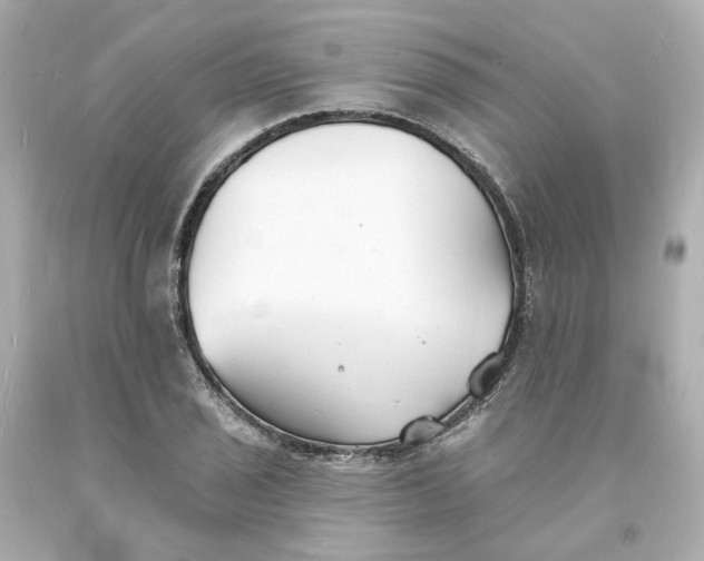 X0000093601029200710291139