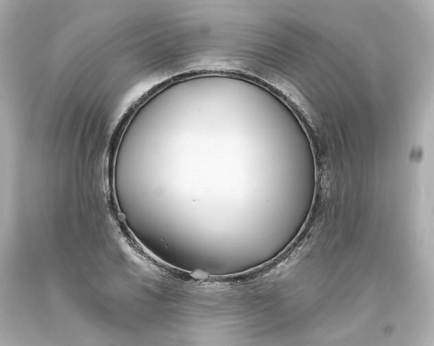 X0000093601030200710291139