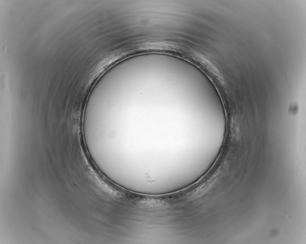 X0000093601033200710291139