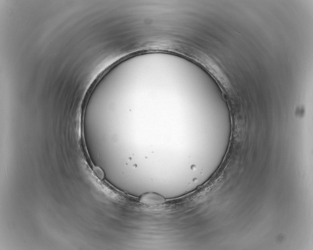 X0000093601036200710291139