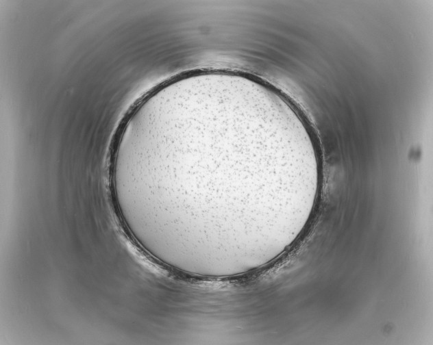 X0000093601037200710291139