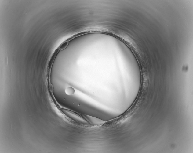 X0000093601038200710291139