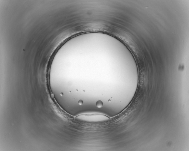 X0000093601039200710291139