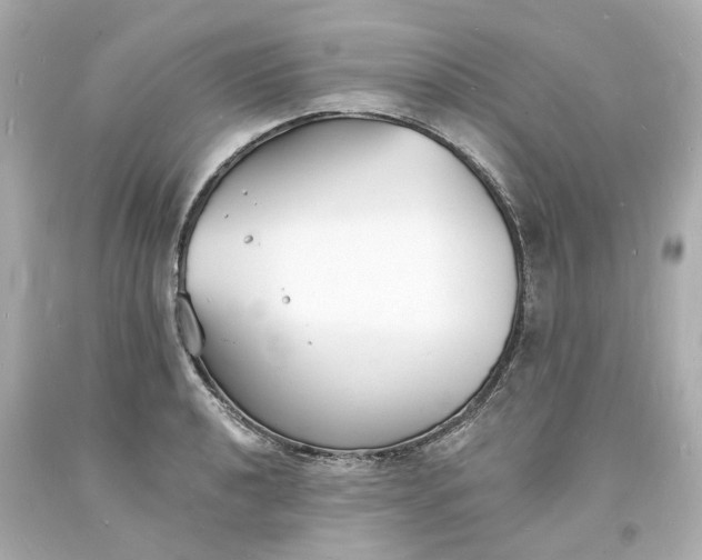 X0000093601040200710291139