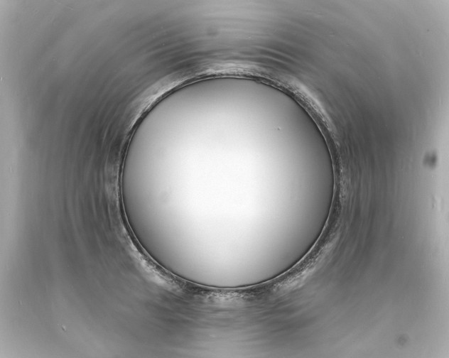 X0000093601041200710291139