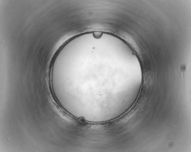 X0000093601043200710291140