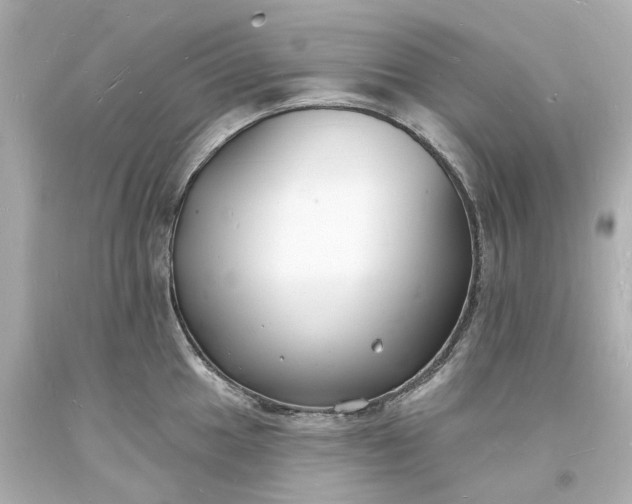 X0000093601049200710291140