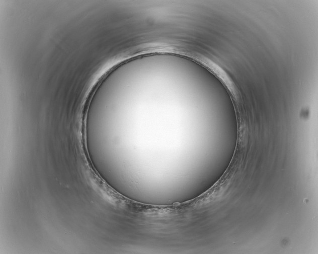 X0000093601051200710291140