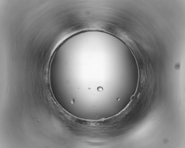 X0000093601052200710291140