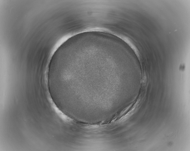 X0000093601054200710291140