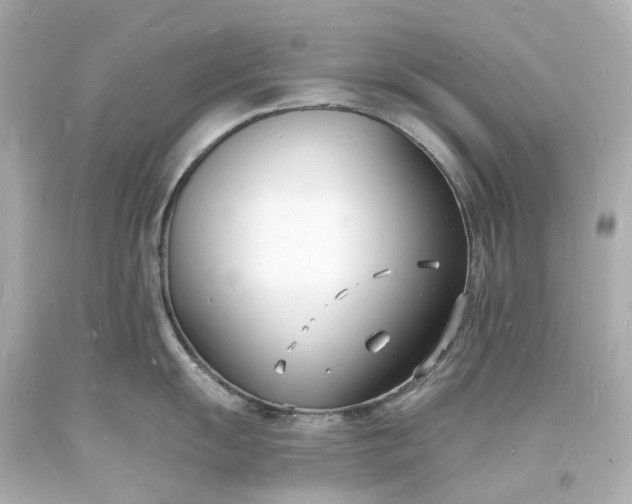 X0000093601055200710291140