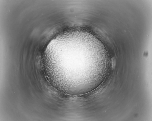 X0000093601059200710291139