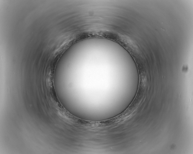 X0000093601060200710291139