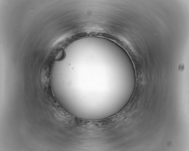 X0000093601063200710291139