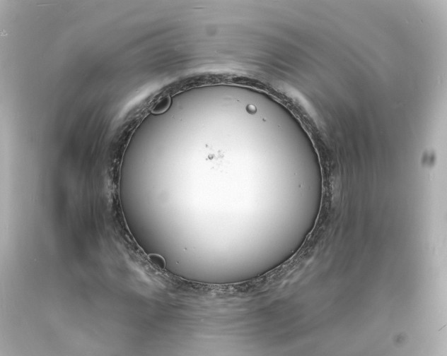 X0000093601064200710291139