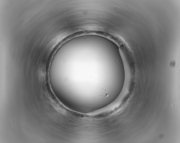 X0000093601065200710291139