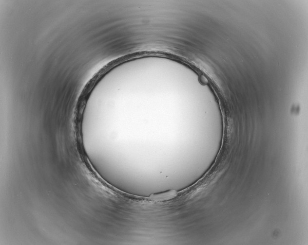 X0000093601068200710291139