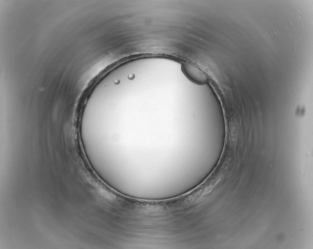 X0000093601071200710291139