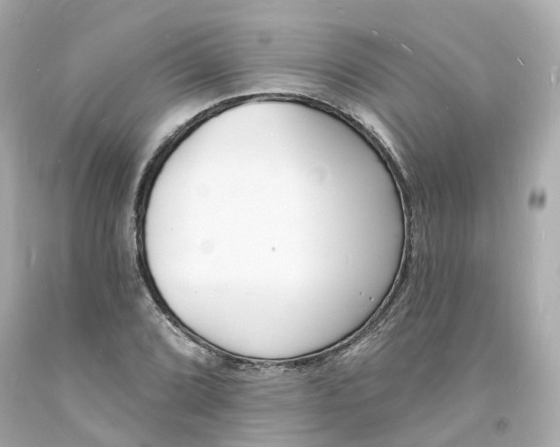 X0000093601072200710291139