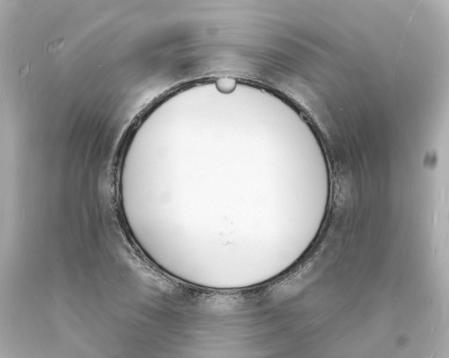 X0000093601074200710291139