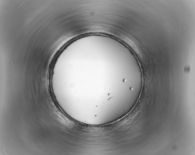 X0000093601076200710291139