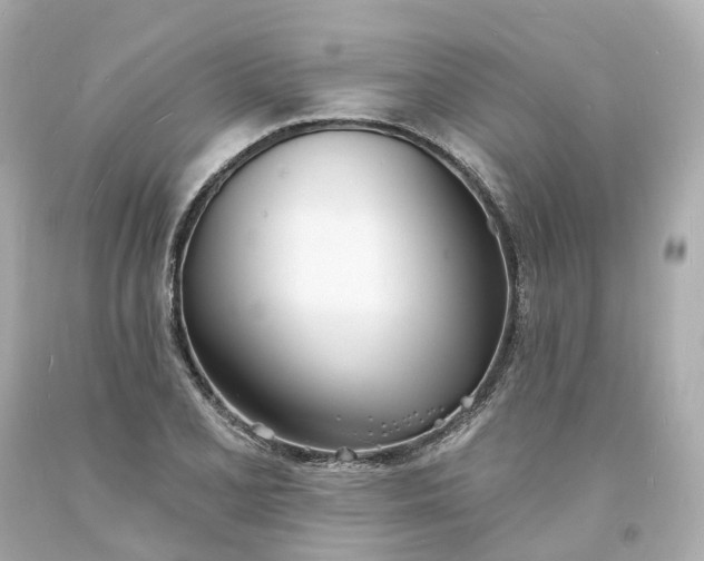 X0000093601077200710291139