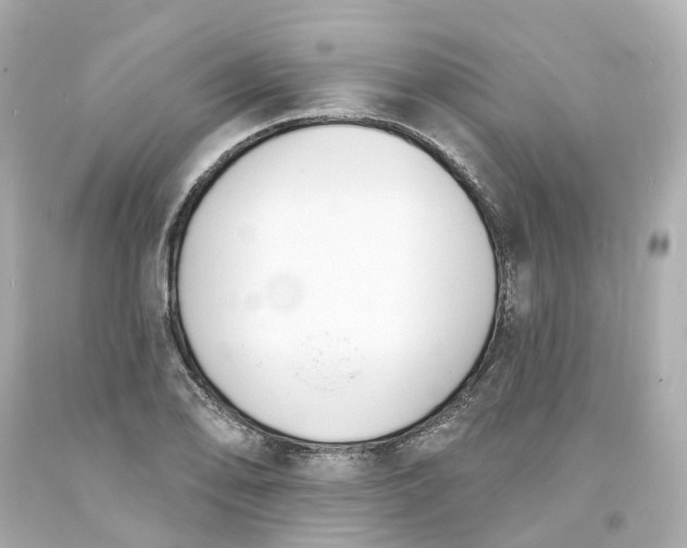 X0000093601078200710291139