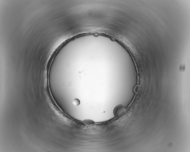 X0000093601079200710291139