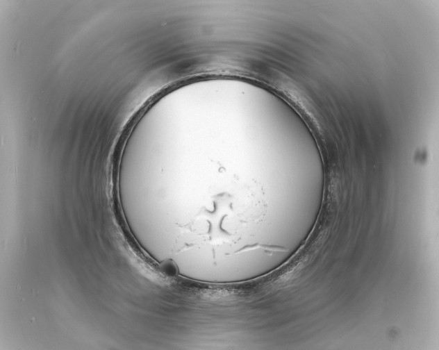 X0000093601082200710291139