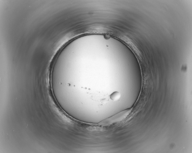 X0000093601083200710291139