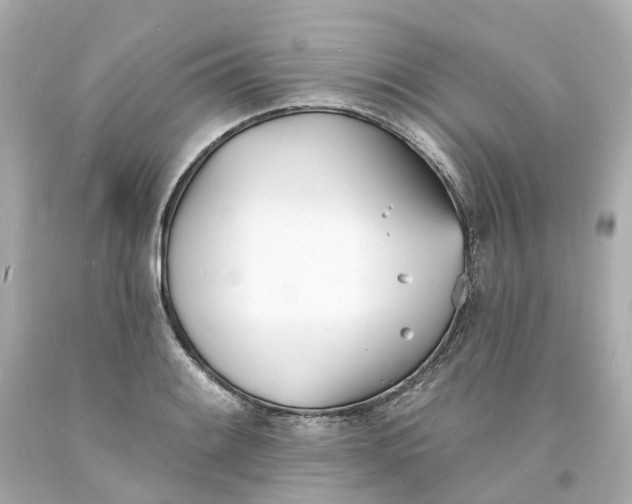 X0000093601084200710291139