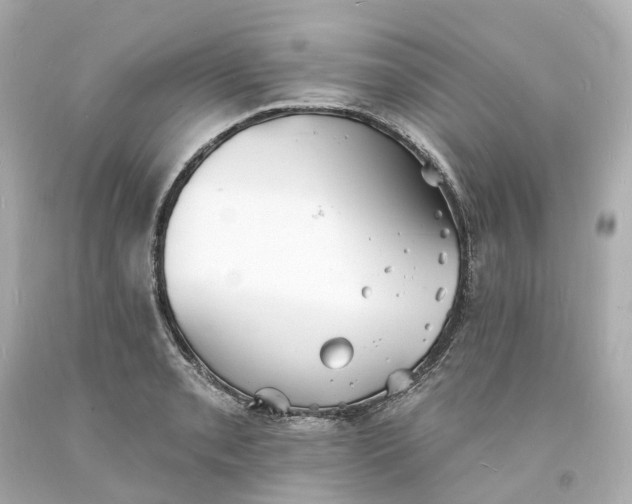 X0000093601085200710291139