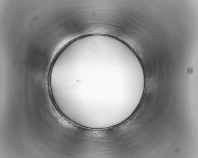 X0000093601086200710291139