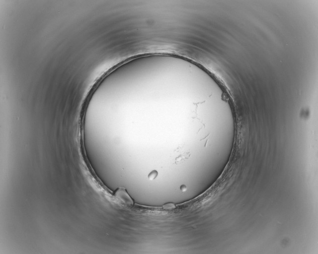 X0000093601088200710291138