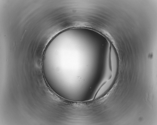 X0000093601089200710291138