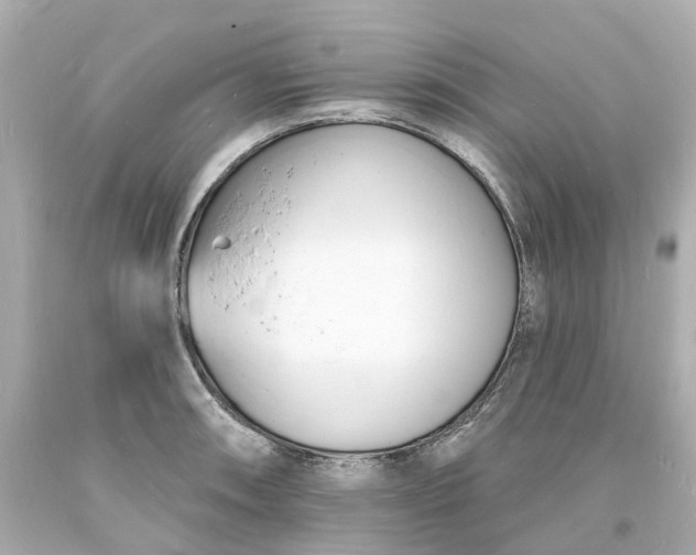 X0000093601090200710291138