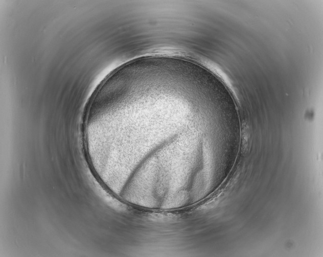 X0000093601091200710291138