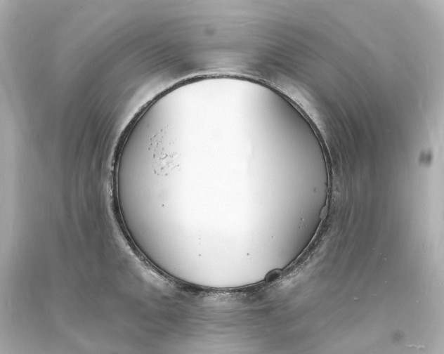 X0000093601093200710291138