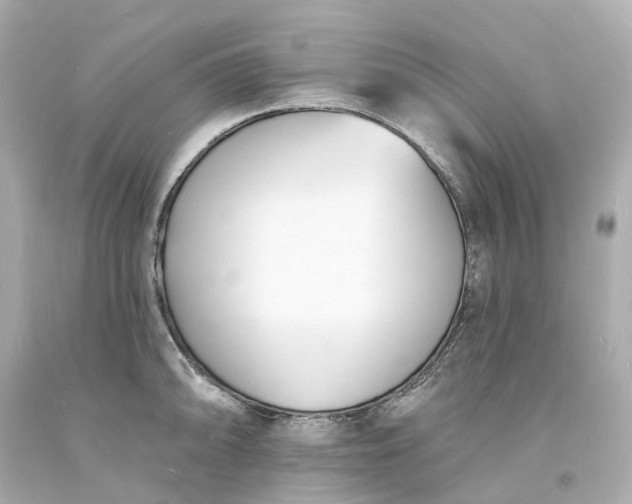 X0000093601094200710291138