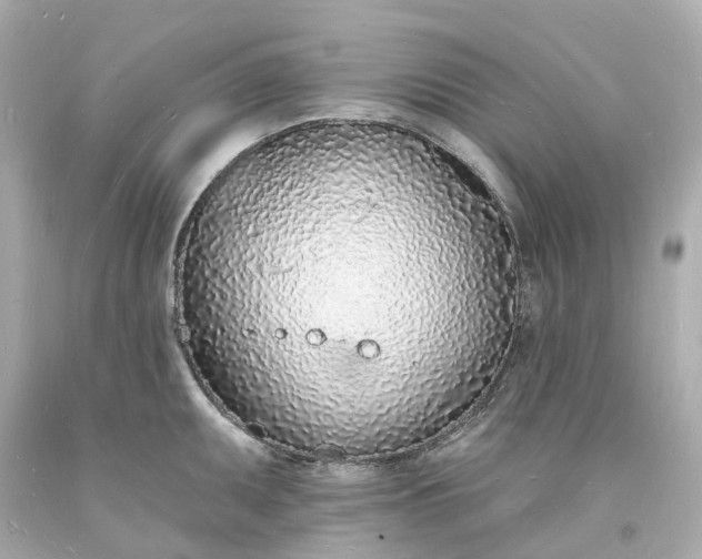 X0000093601095200710291138