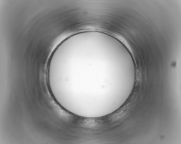 X0000093601098200710291138