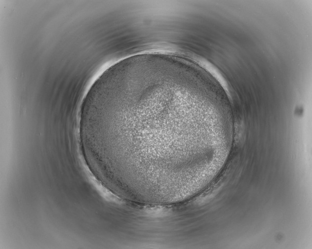 X0000093601099200710291138